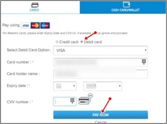 payment debit card