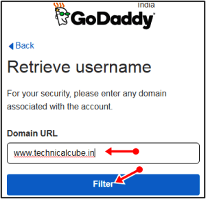 domain url