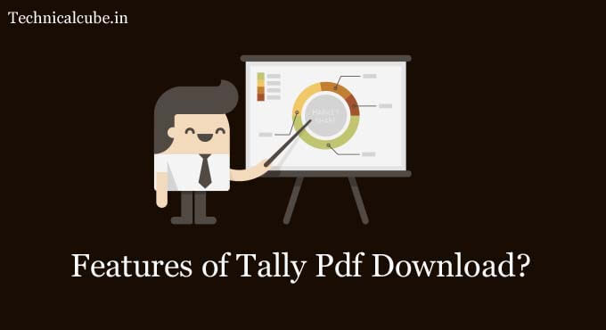 Features of Tally Pdf